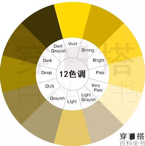 深黃色怎麼調|設計配色完整攻略 